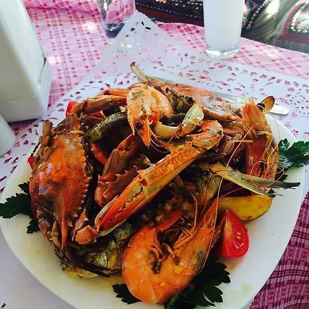 Teras Paradise * דמרה