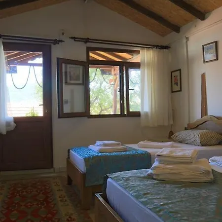 בית הארחה Teras Paradise דמרה