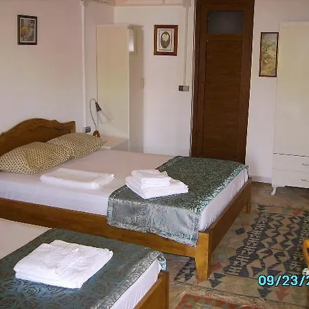 Teras Paradise דמרה