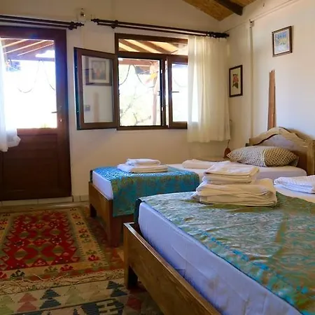 בית הארחה Teras Paradise *