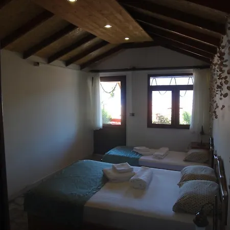 게스트하우스 Teras Paradise 뎀레