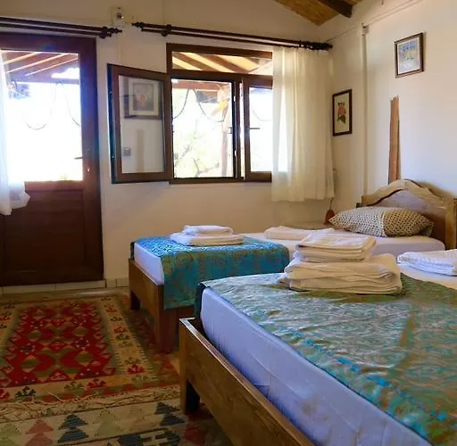 Guest house Teras Paradise *